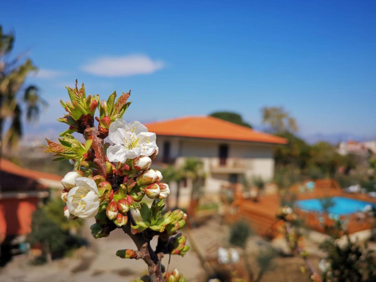 Bed & Breakfast Evergreen