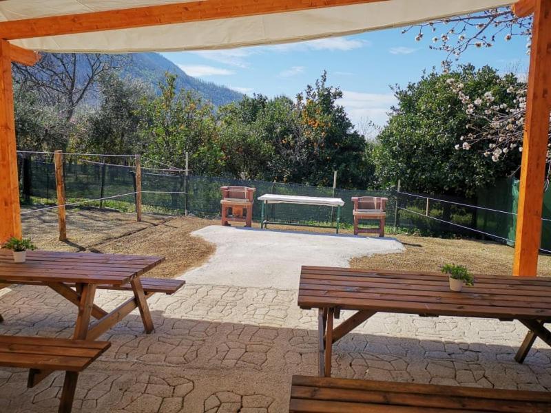 Bed & Breakfast Evergreen Corbara (Campania)