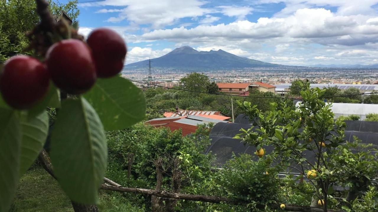 Evergreen Bed & Breakfast Corbara (Campania)