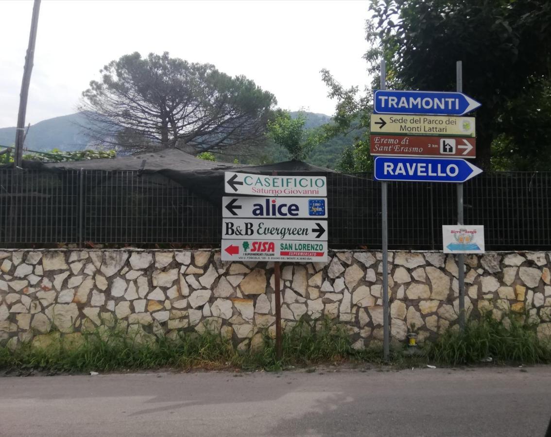 Evergreen Corbara (Campania)
