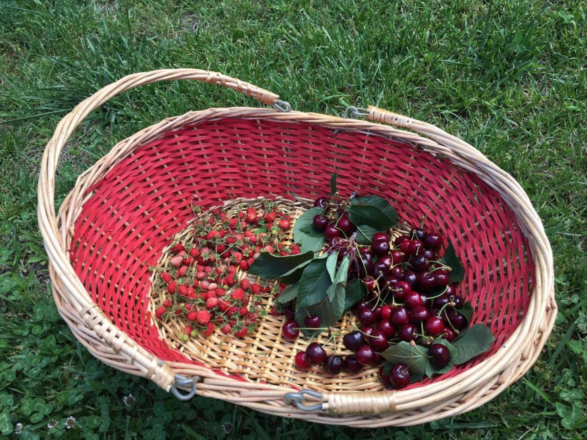Evergreen Bed & Breakfast *